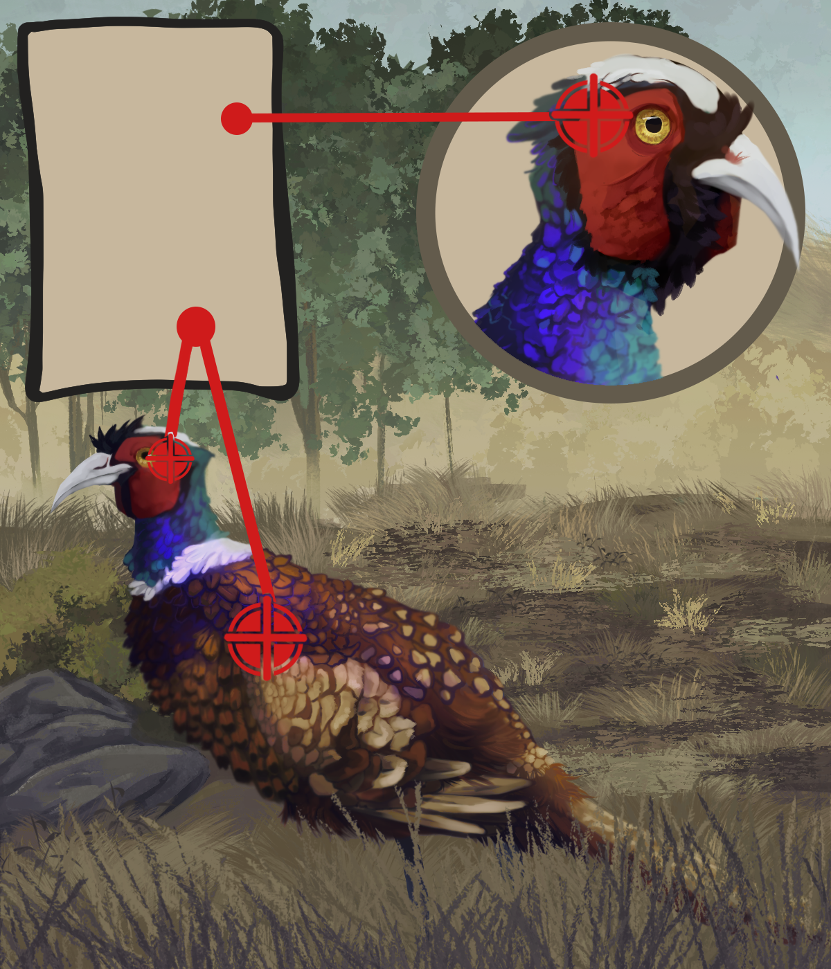 Pheasant lethal shot poster completed
